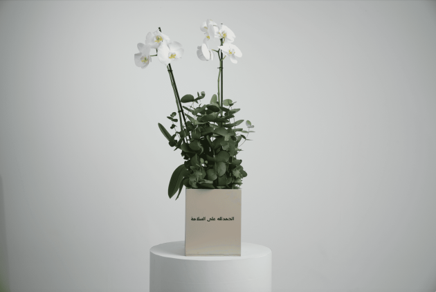 The one orchid plant